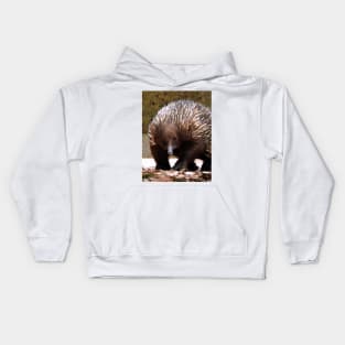 Echidna Kids Hoodie